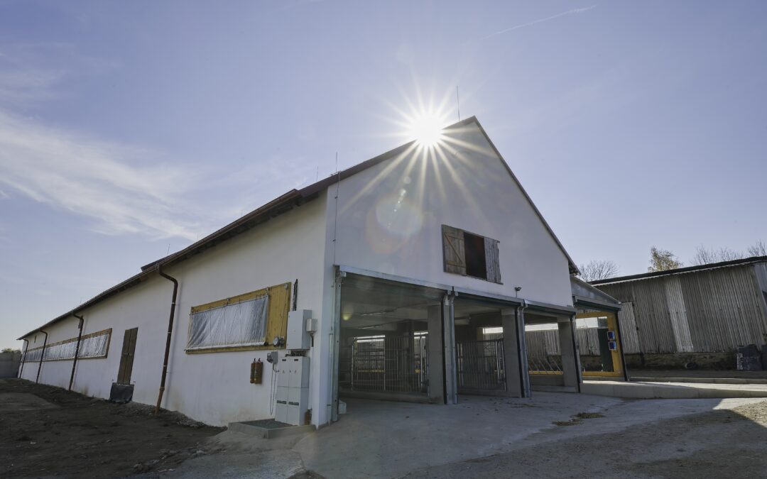 Modernizace farmy – Bransouze